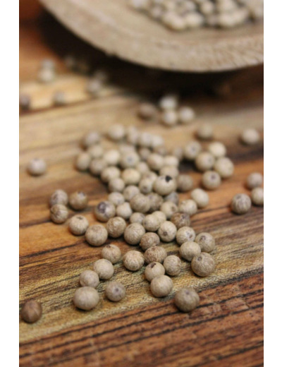 Poivre blanc de Kampot IGP Bio
