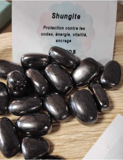 Pierre roulée de Shungite