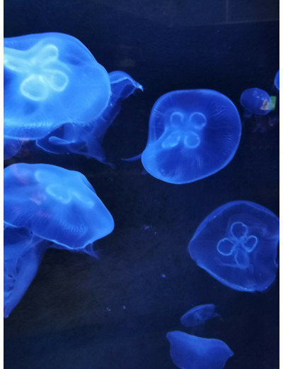 Deep blue