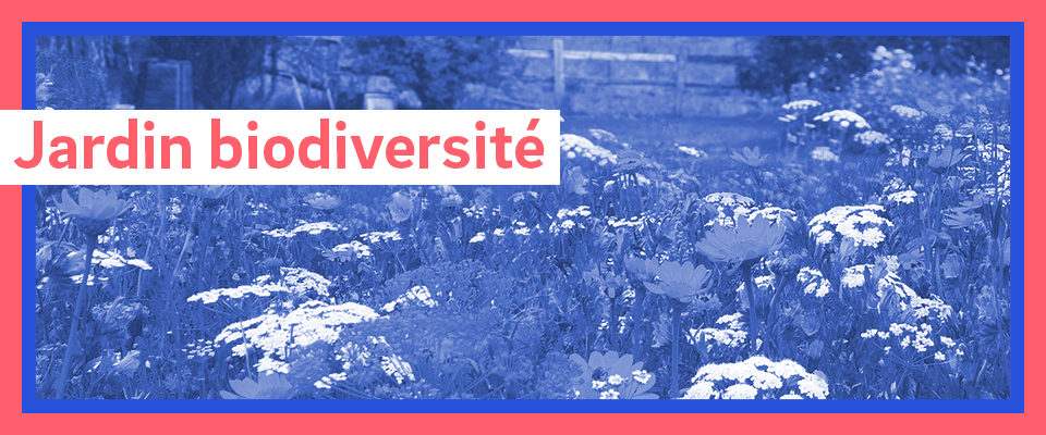 jardin biodiversité